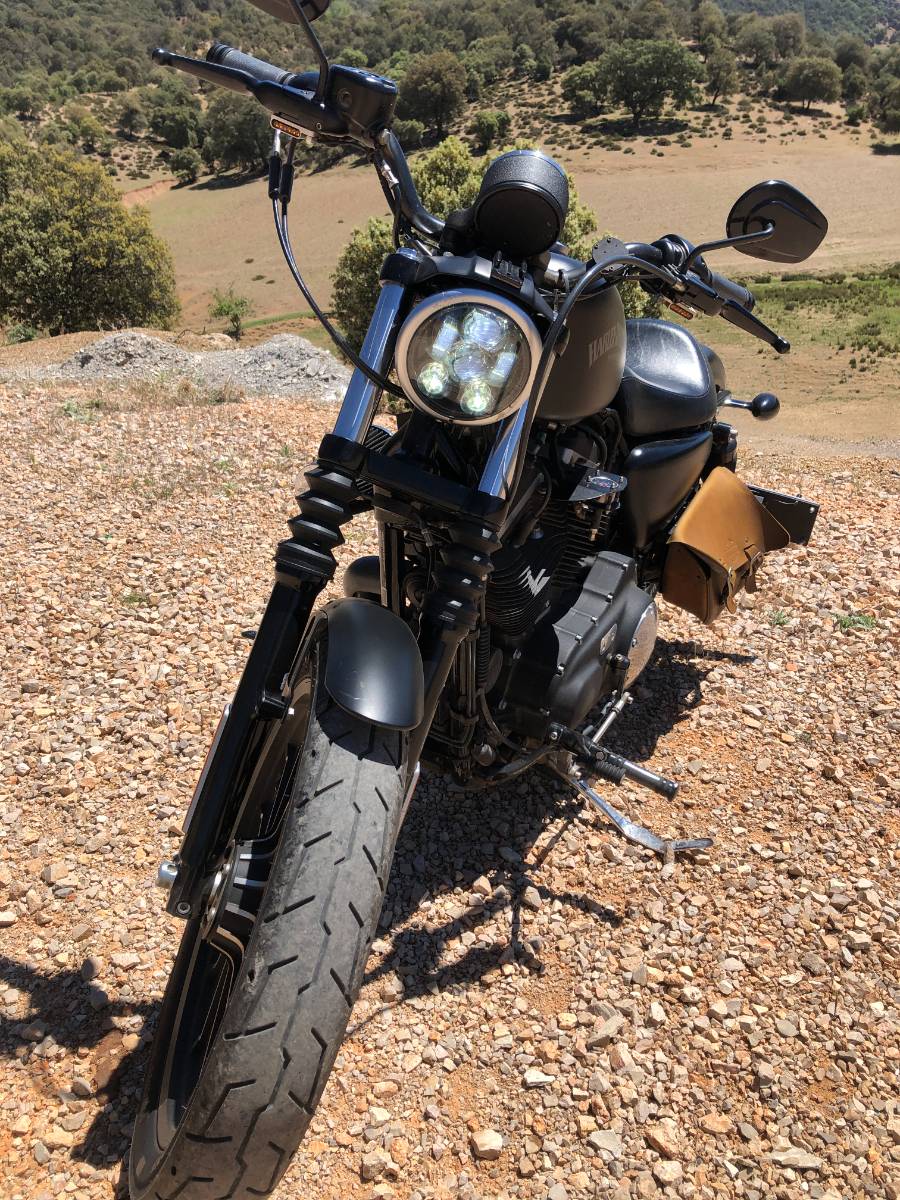 Harley-Davidson-iron-883-en-parfait-etat-et-FULL-OPTION